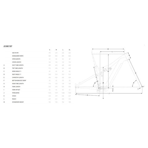 Rower elektryczny FOCUS Jam2 6.9 800Wh grey/green, rozmiar XL