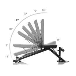 Ławka treningowa HAMMER MAXIMUM AUTARK FT3