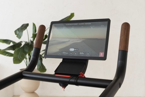 Bieżnia treningowa NOHRD Citius Oak Dąb