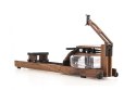 Wioślarz wodny WaterRower Performance Walnut SR Orzech