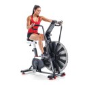 SCHWINN ROWER POWIETRZNY AIRDYNE AD8