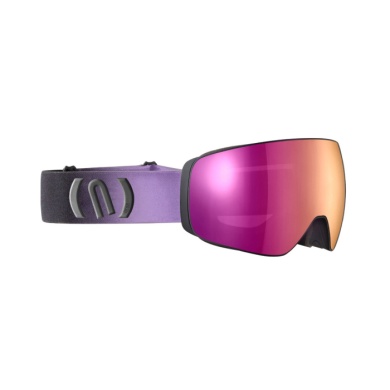 NEON Arctic