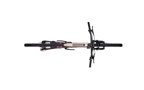 Rower elektryczny FOCUS THRON2 6.8 ABS 600Wh silver/bronze, rozmiar XL/46