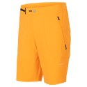 Spodenki SCOTT Shorts M`s Tuned SL (gleam orange, L)