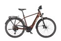 Rower elektryczny KTM Macina Tour CX 810 GX Axs 810Wh terra, rozmiar US/43