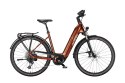 Rower elektryczny KTM Macina Tour CX 810 GX Axs 810Wh terra, rozmiar US/51