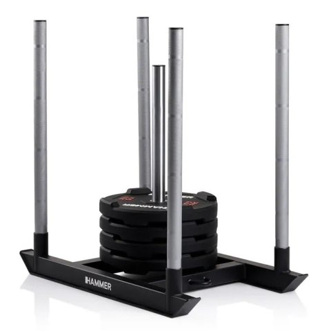 Sanie treningowe HAMMER