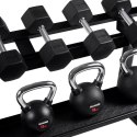 Stojak na hantle i kettlebells HAMMER