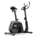 VIRTUFIT ROWER TRENINGOWY LEB200i